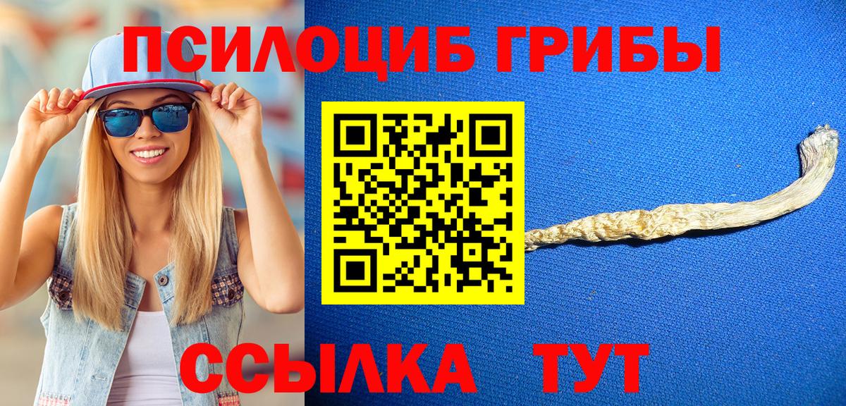 Галлюциногенные грибы Psilocybine cubensis Нижний Тагил