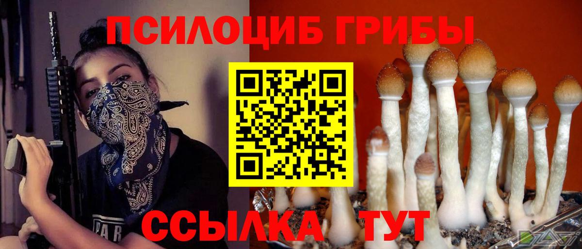 Нижний Тагил  Галлюциногенные грибы Psilocybine cubensis  Вход с VPN 